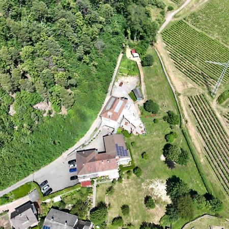 Hotel Berghof Albersweiler Eksteriør billede